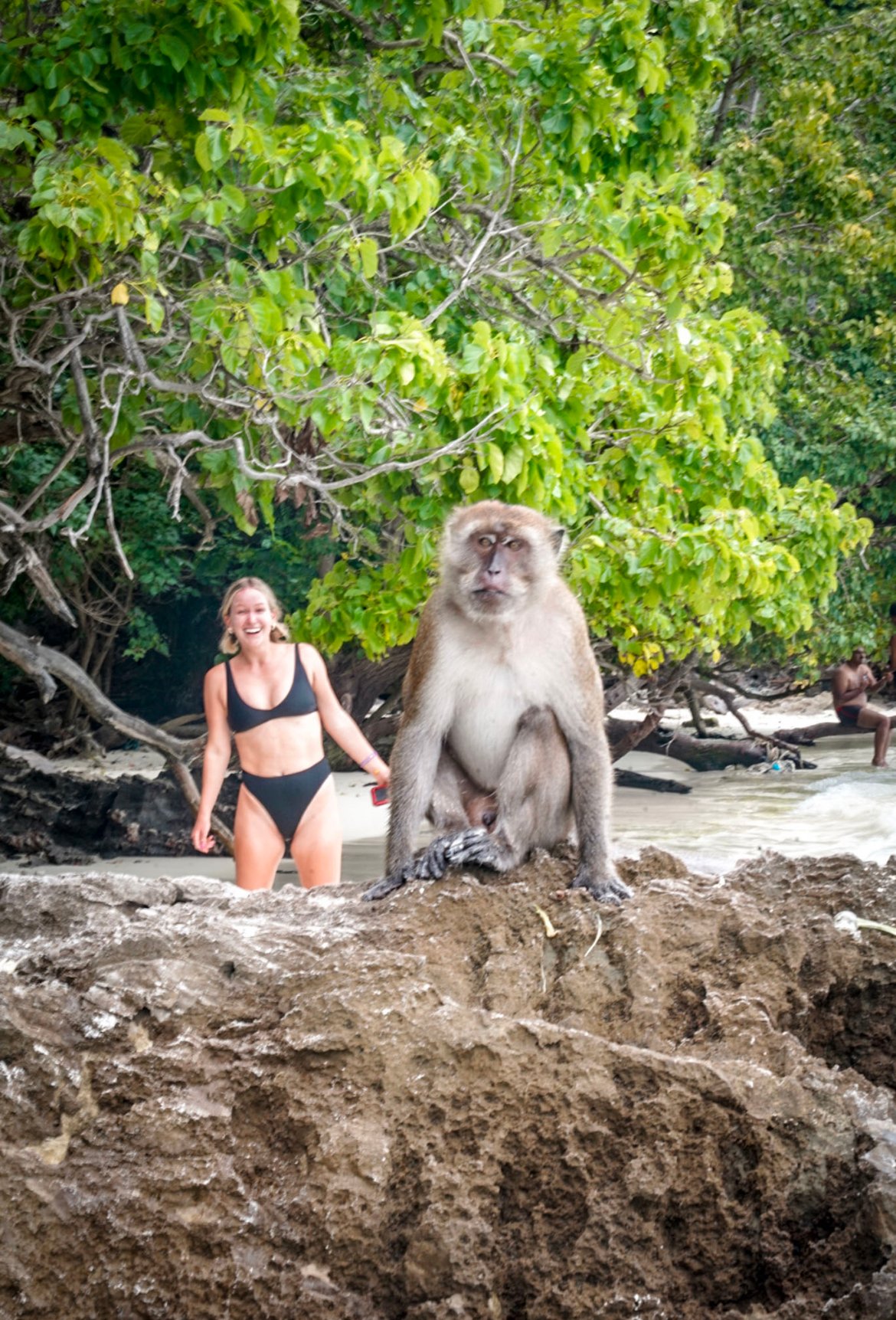 monkey beach, Phi Phi Islands, Thailand