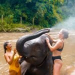 The Best Elephant Sanctuary in Thailand