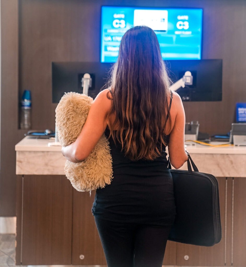 Pillow Travel Case, best gifts for travelers, packing tips for travelers