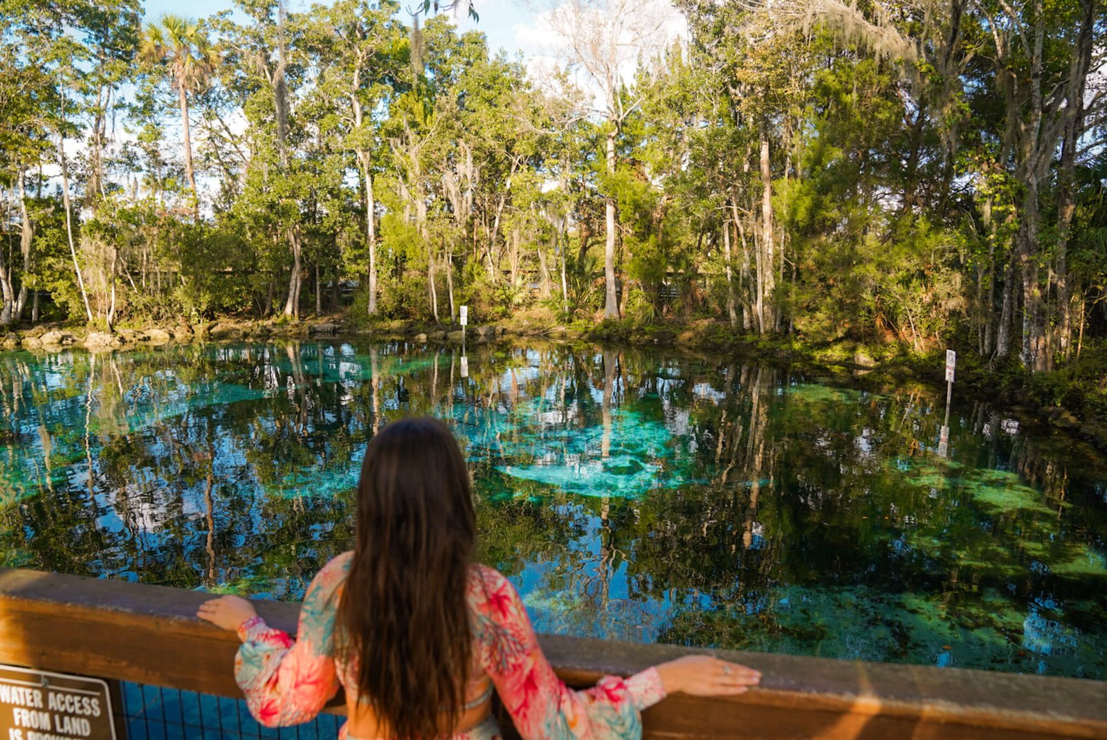 Three Sisters Springs, Things in Florida to do