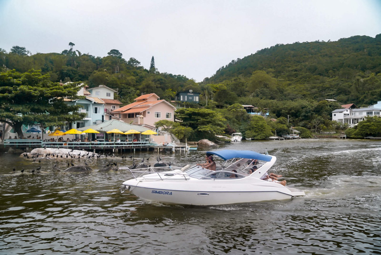 boat trip, things to do in Florianopolis