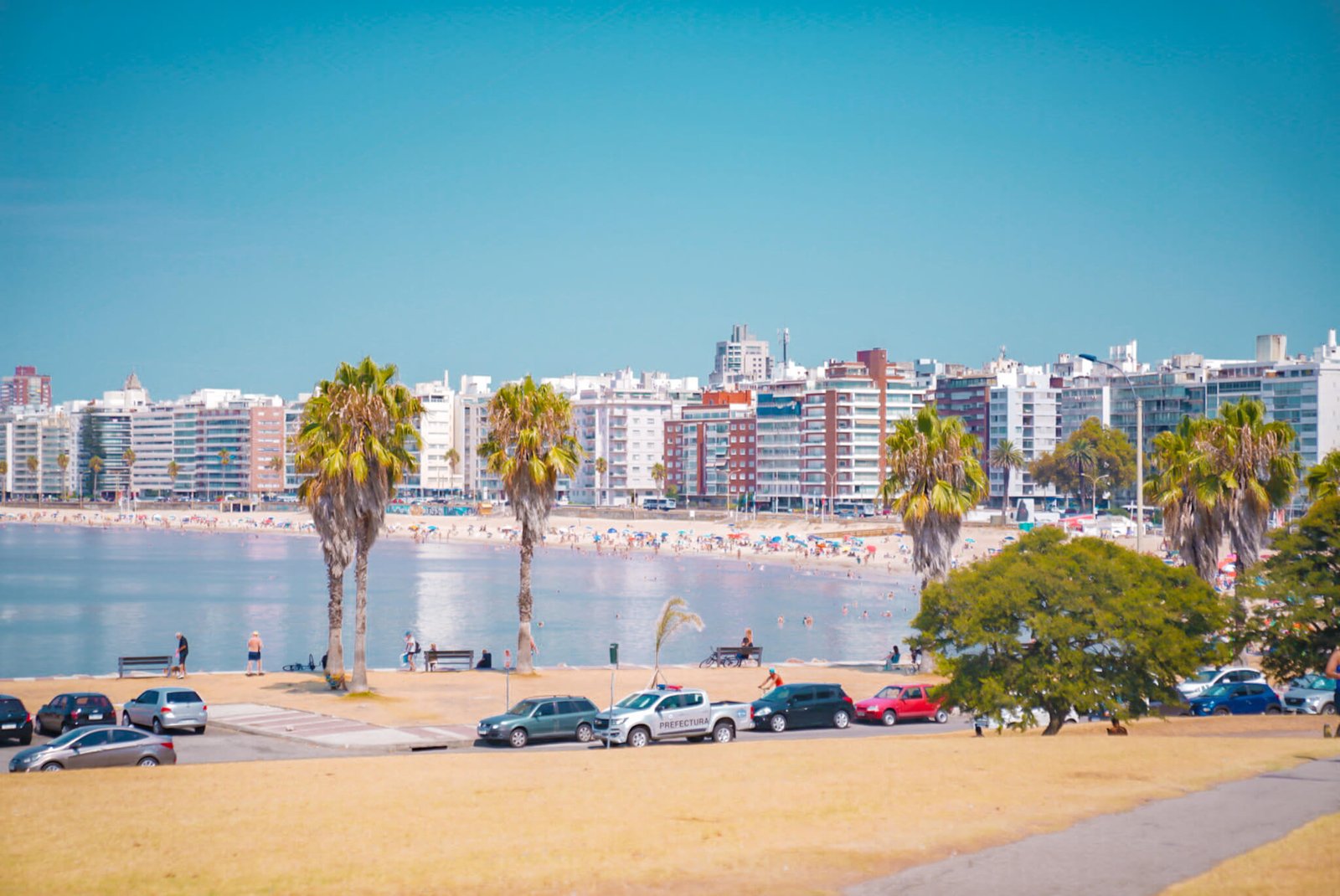 beach in Montevideo, is there a lot to do in Montevideo