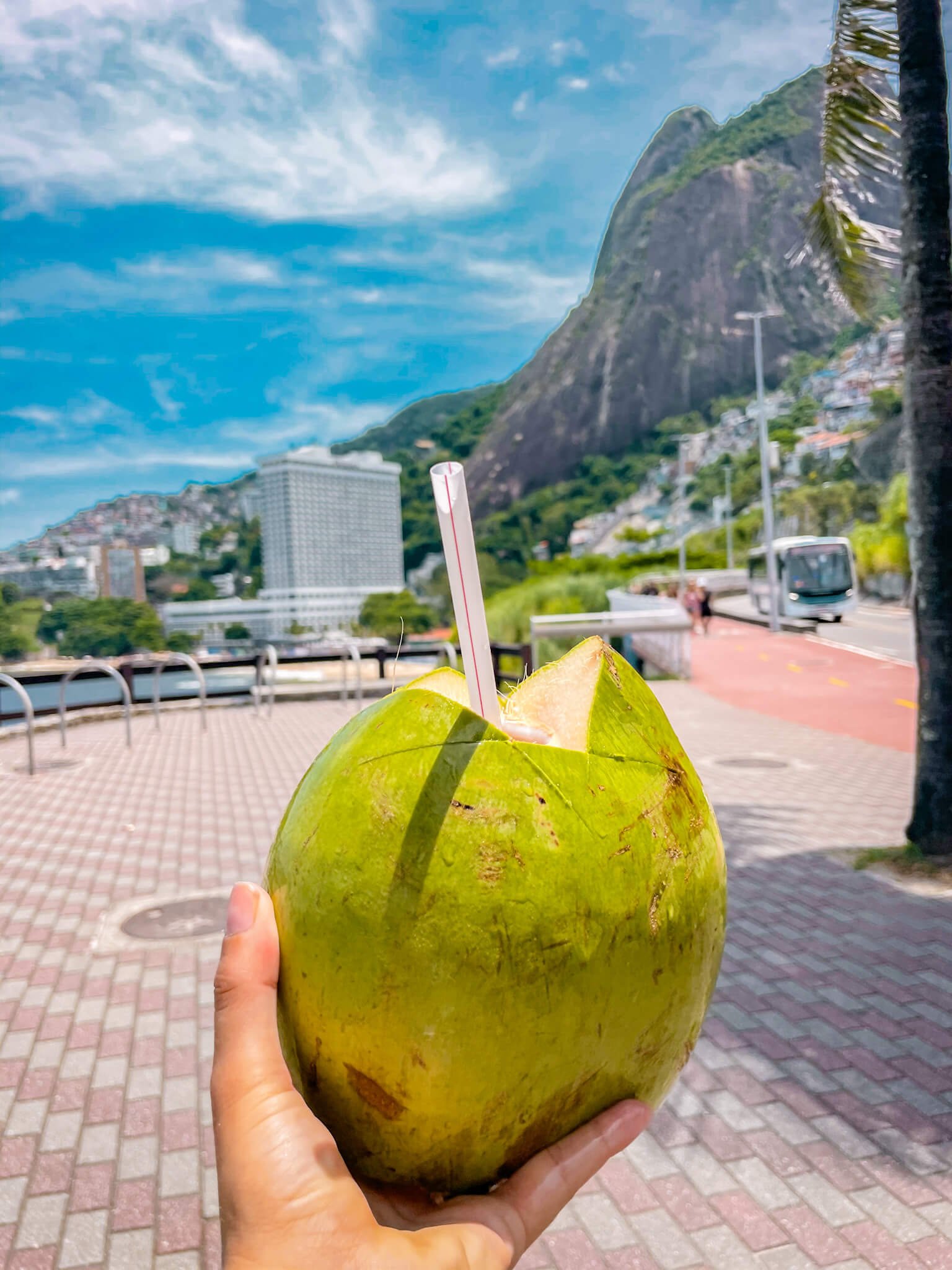 coconut in Rio de Janeiro