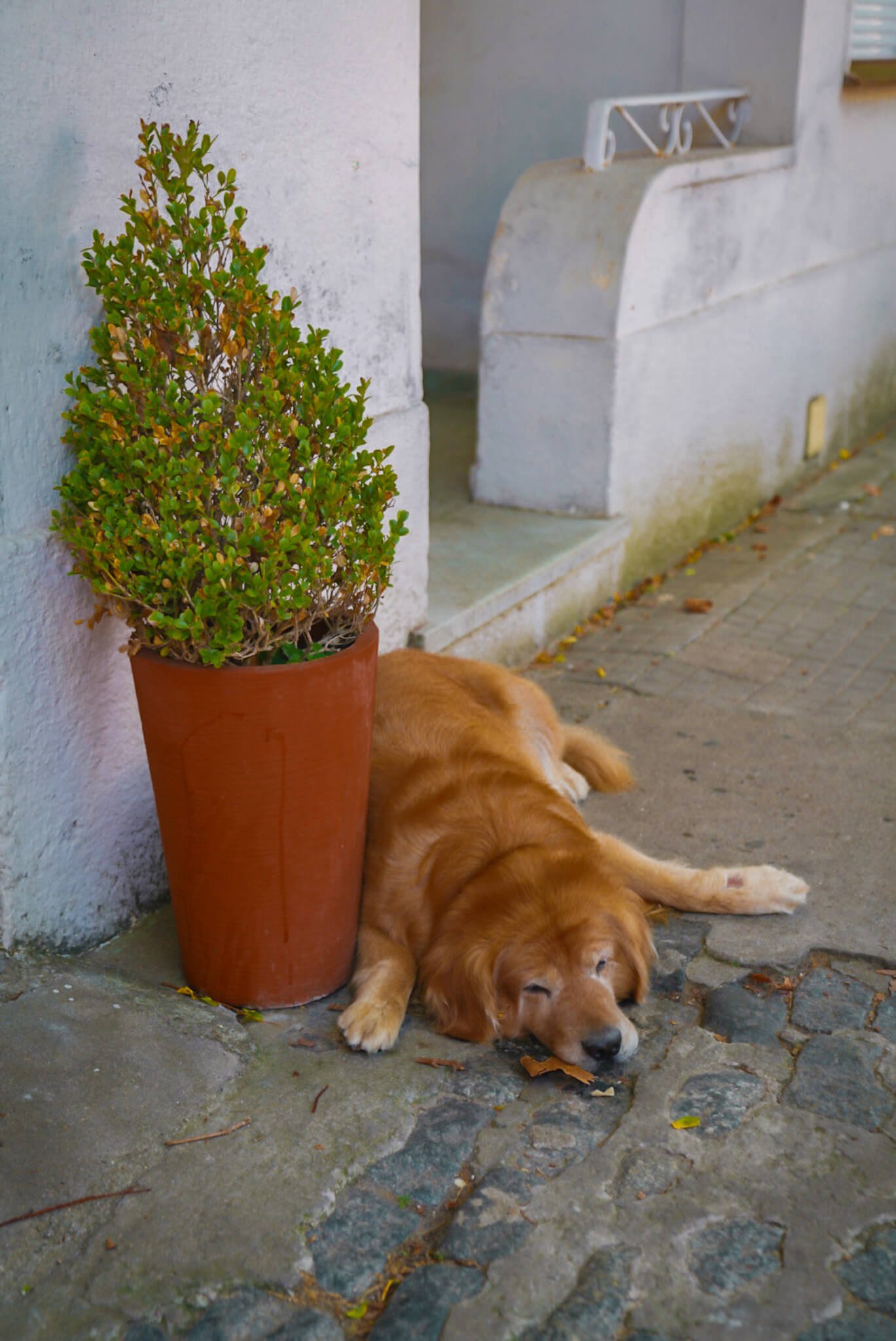 day trip to Uruguay from Buenos Aires