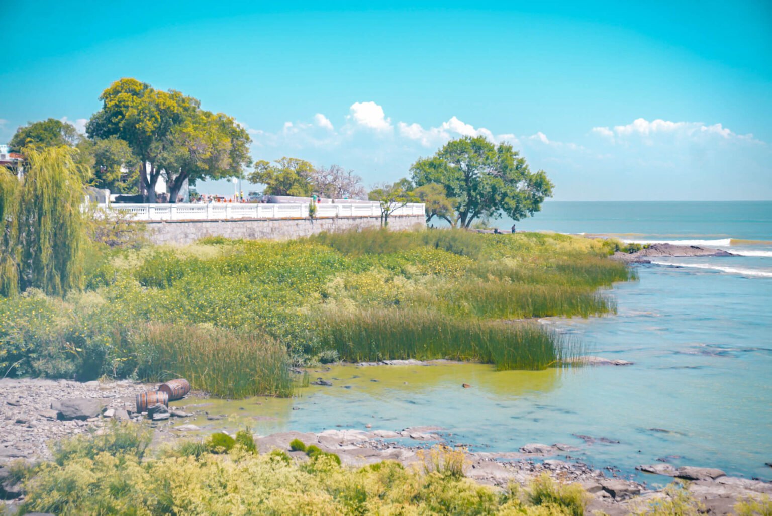 colonia-del-sacramento-the-perfect-day-trip-to-uruguay-from-buenos-aires