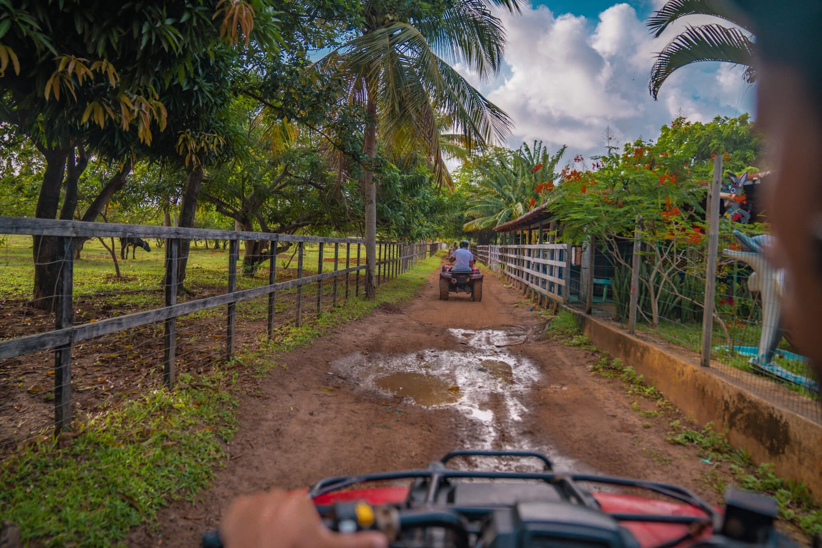 quad tour, things to do in Natal, Brazil