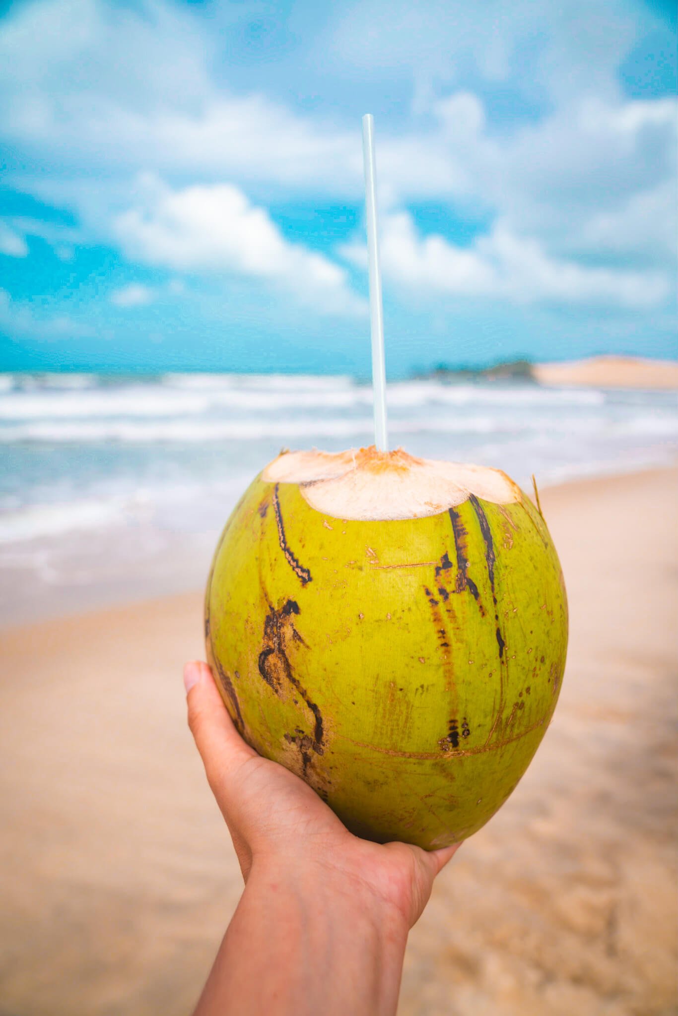 coconut in Natal, Brazil