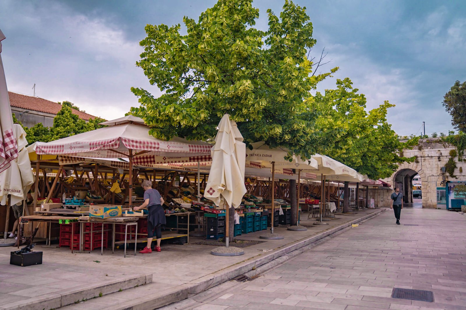 market in Zadar, things to do in Zadar, Croatia