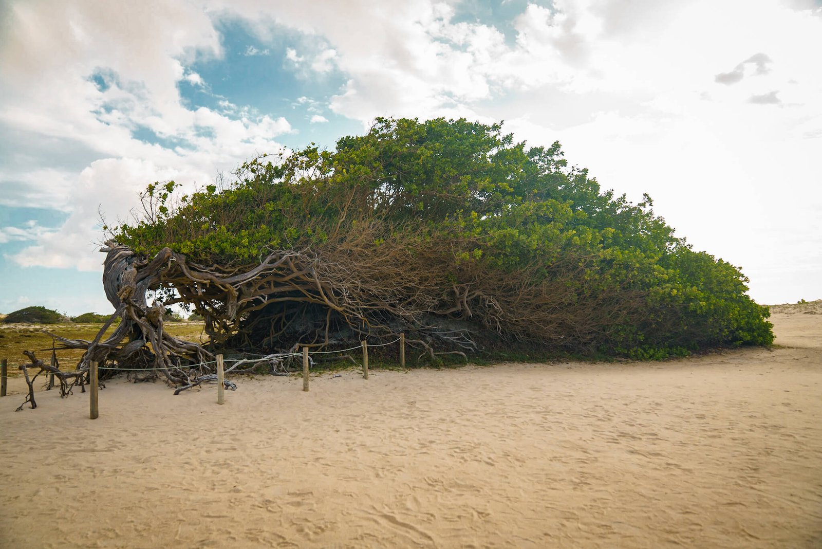 Jericoacoara in Brazil