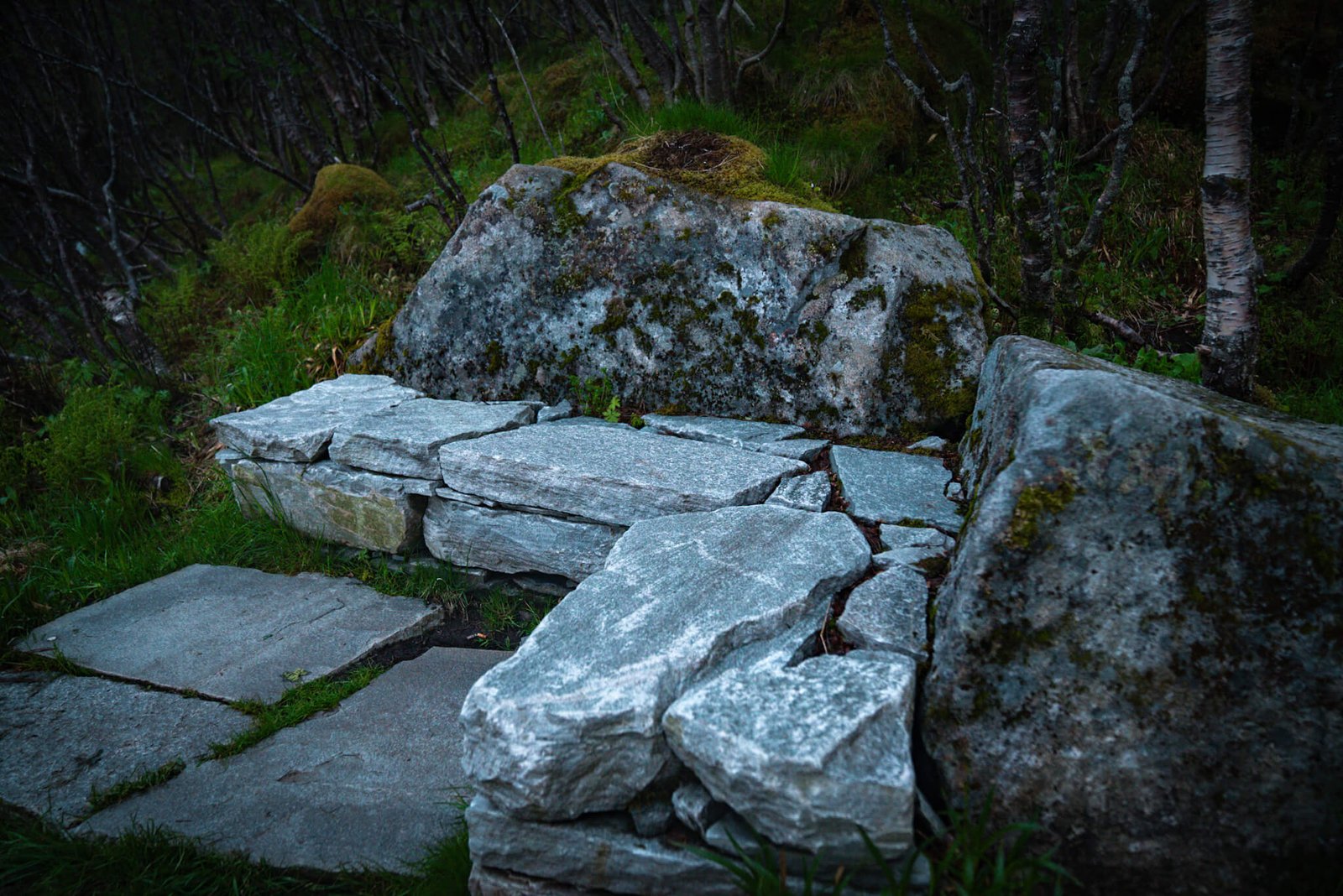 benches at the Reinebringen hike