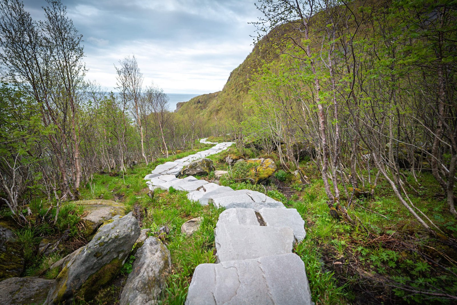 Reinebringen, the best hikes in Norway