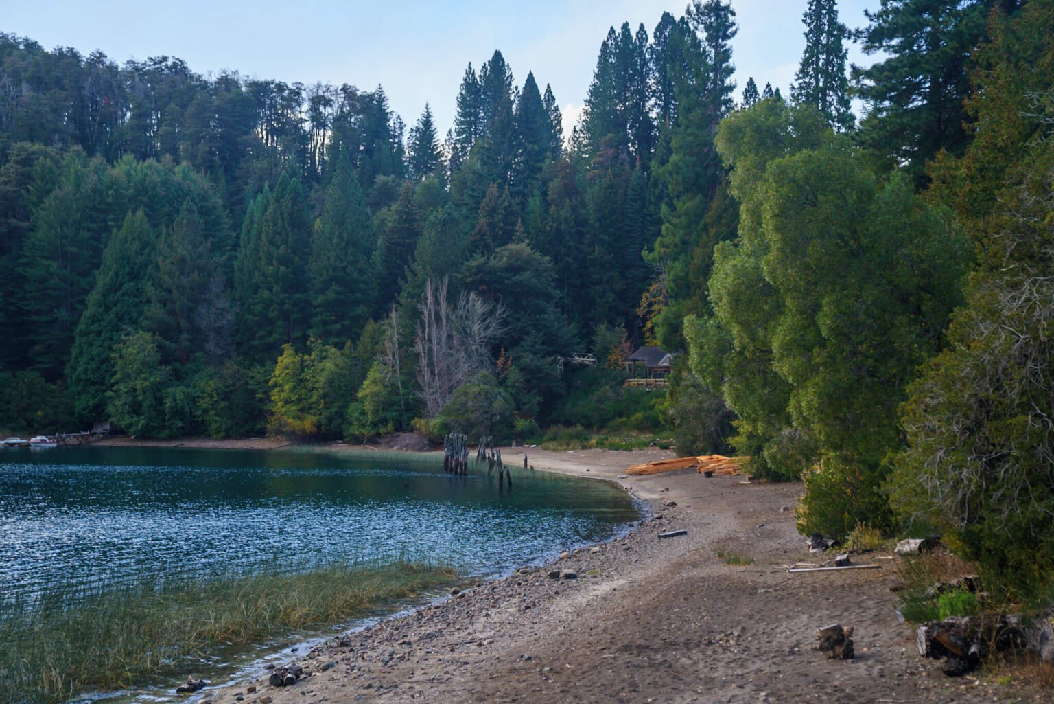 Los Arrayanes National Park: A Magical Day Trip from Bariloche ...