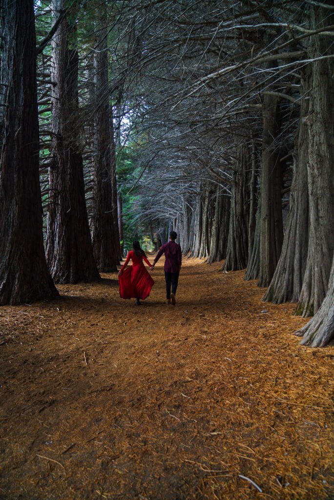 Los Arrayanes National Park: A Magical Day Trip from Bariloche ...