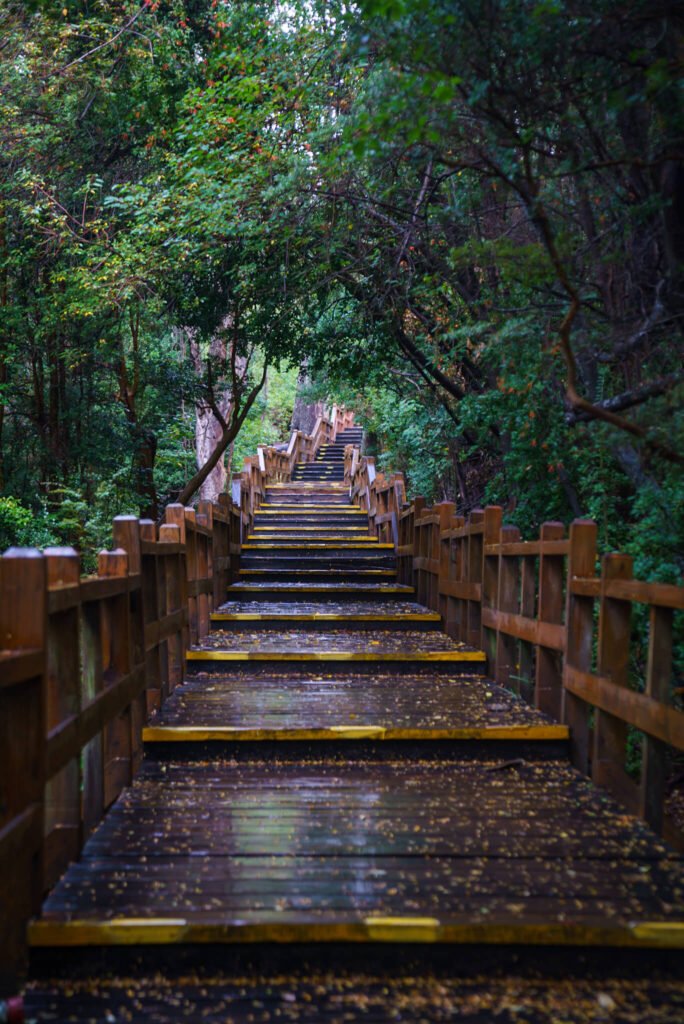 Los Arrayanes National Park: A Magical Day Trip from Bariloche ...