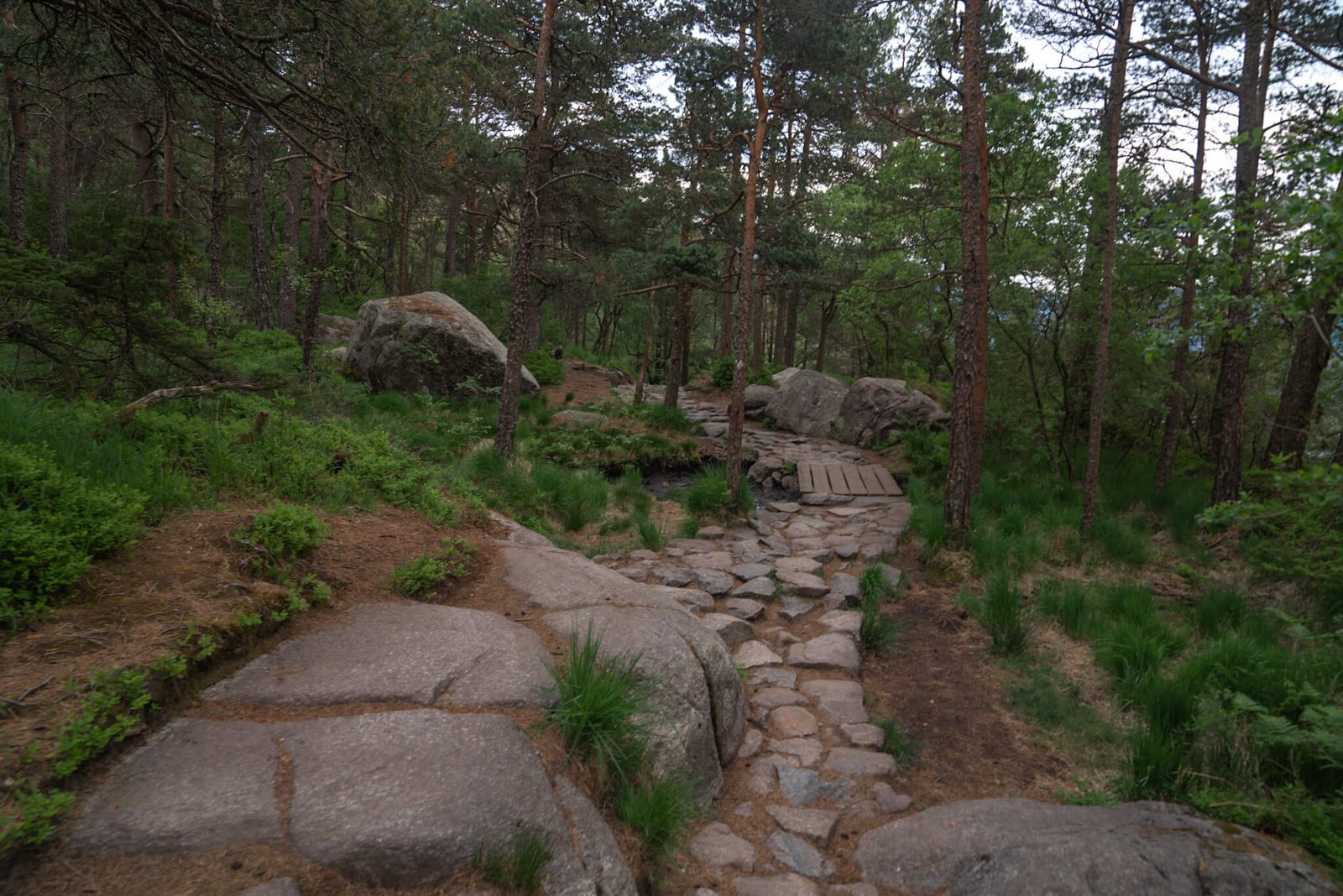 trail of Pulpit Rock