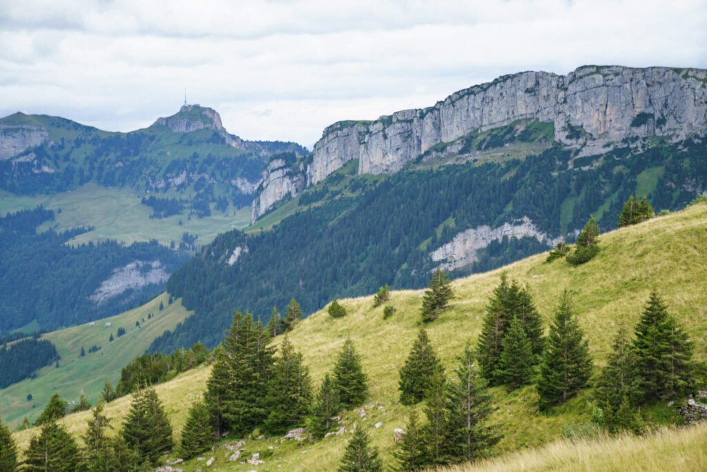 Schafler Ridge hike