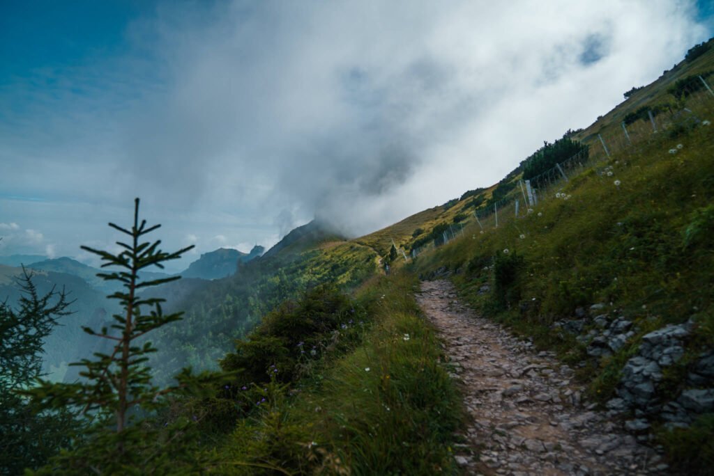 Saxer Lucke hike