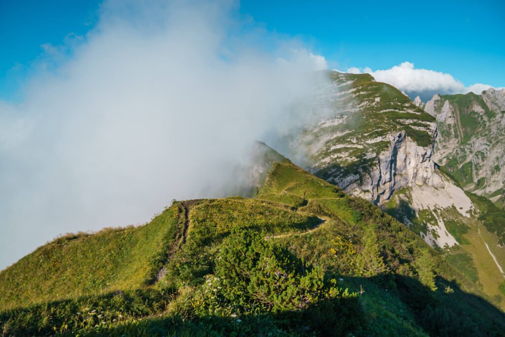 Saxer Lucke hike