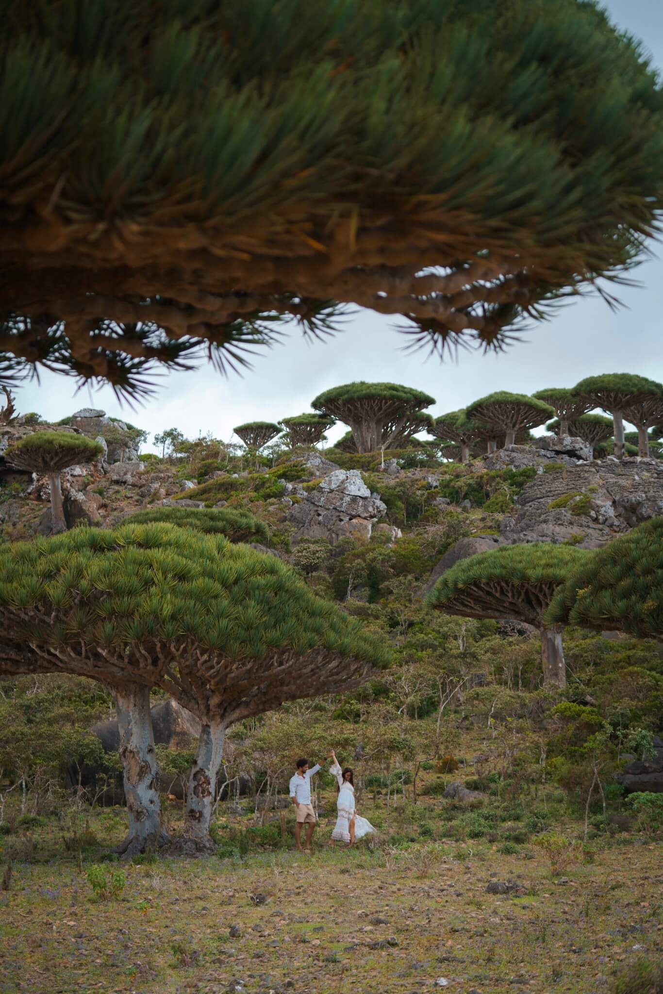 Socotra, most romantic places to travel in the world