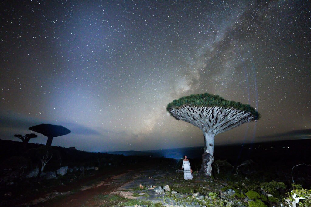 island of Socotra, Yemen