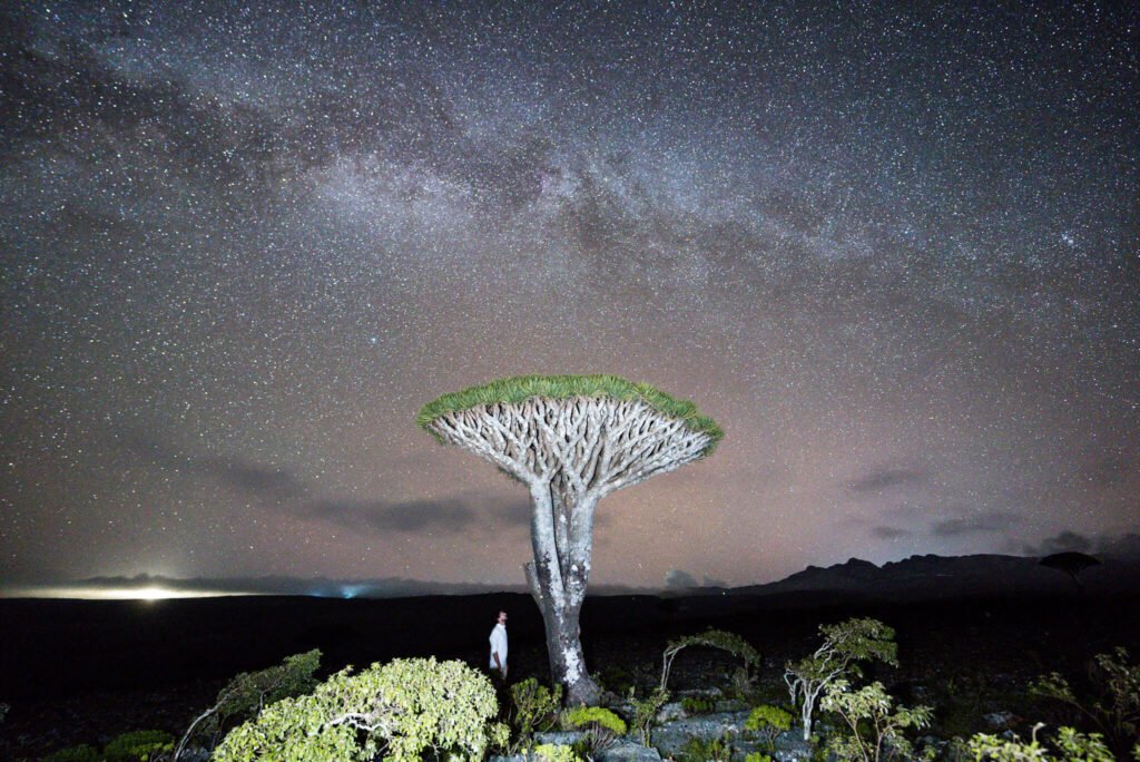 night sky in Socotra
