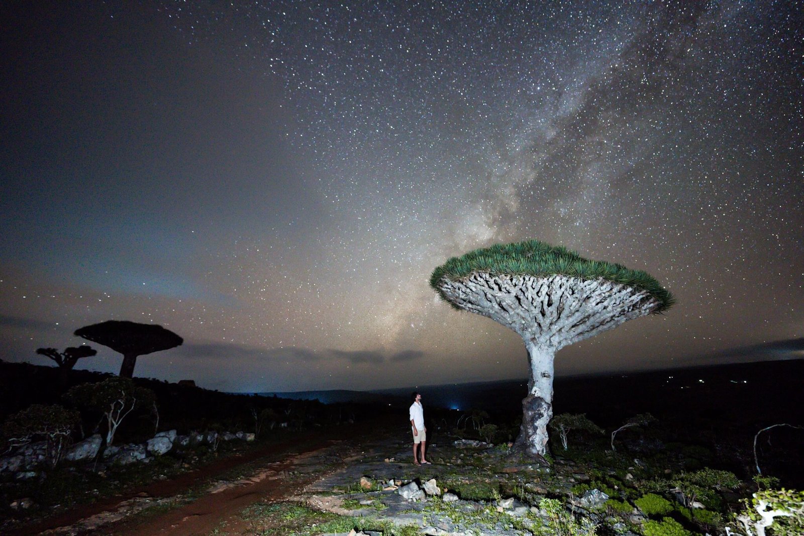 astrophotography on the Socotra Island tour