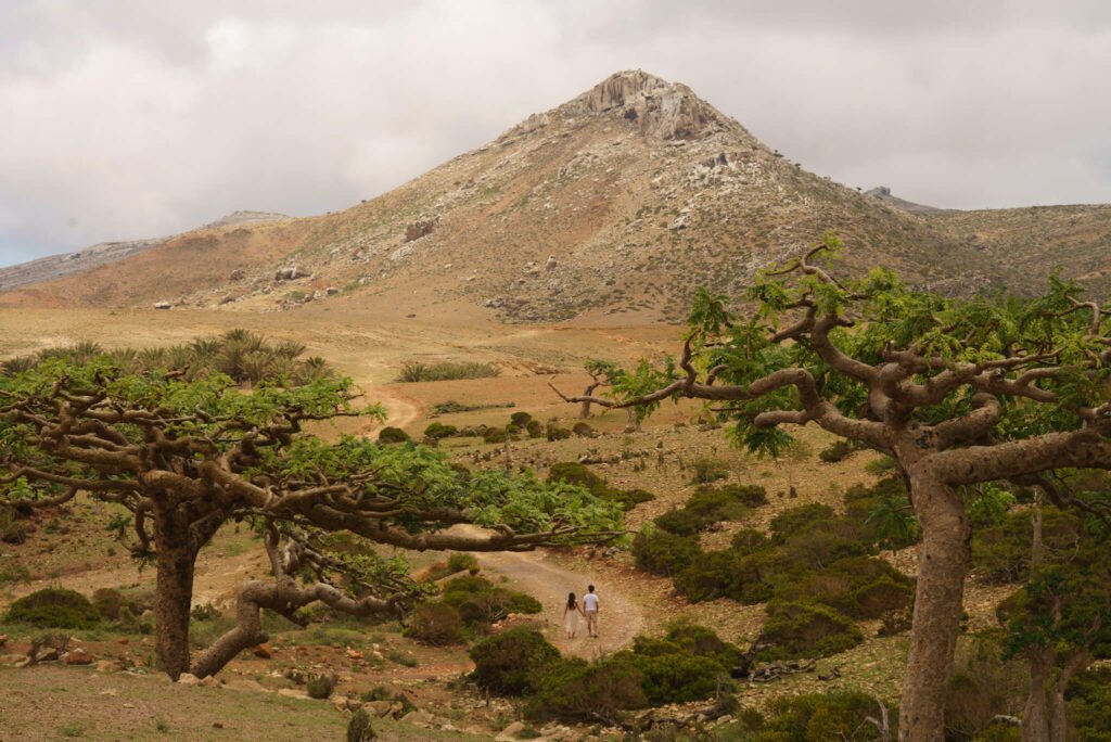 how to get to Socotra island