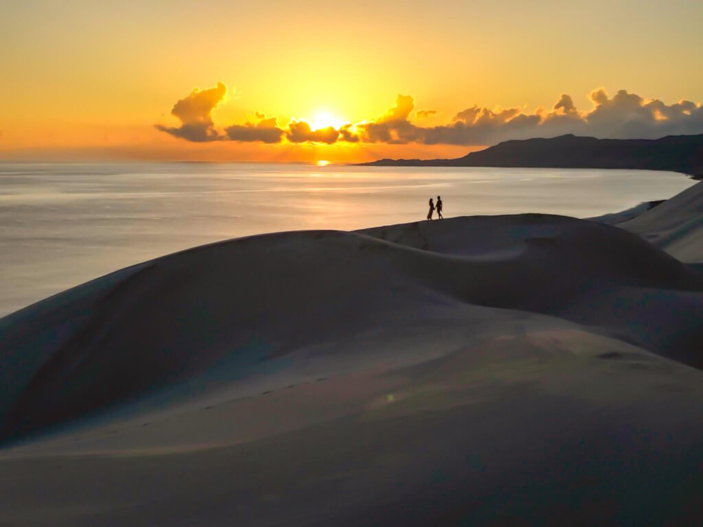 Socotra, 2024 bucket list for the best places to travel this year