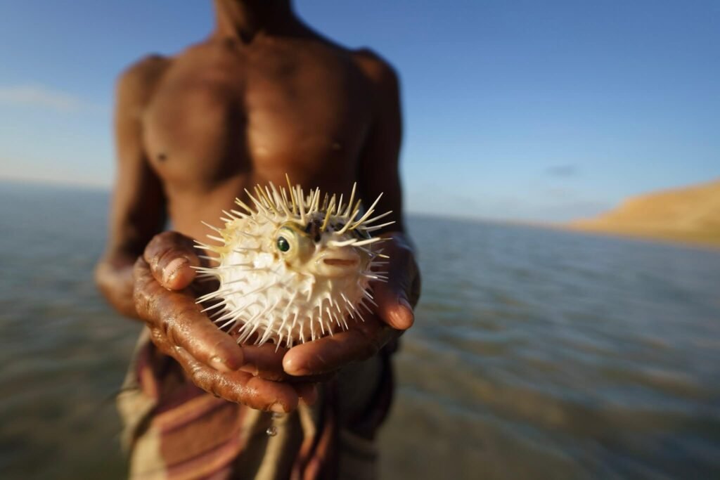 Socotra island tour caveman experience