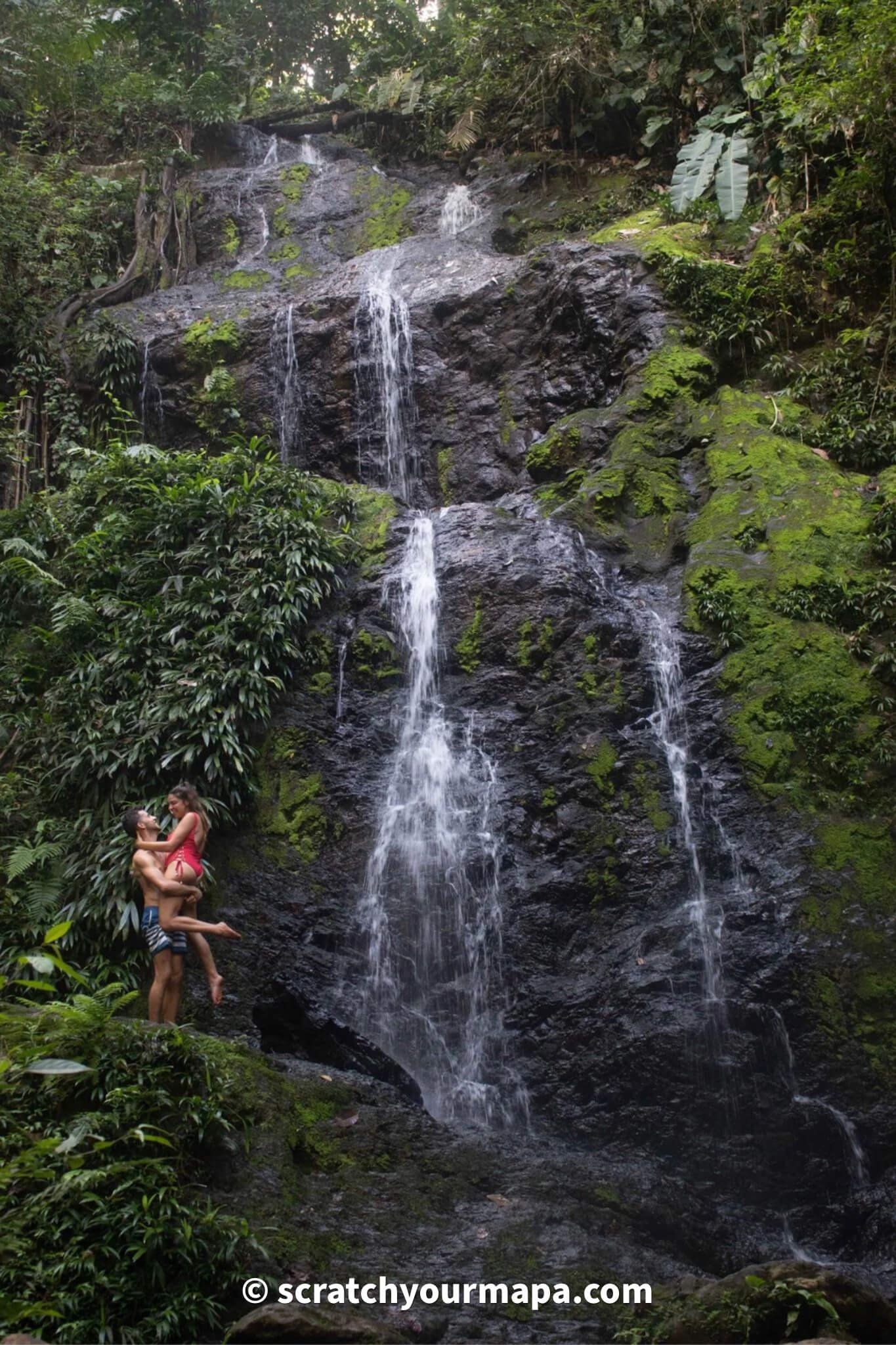 You are currently viewing The Guide to Brownsberg Park Suriname