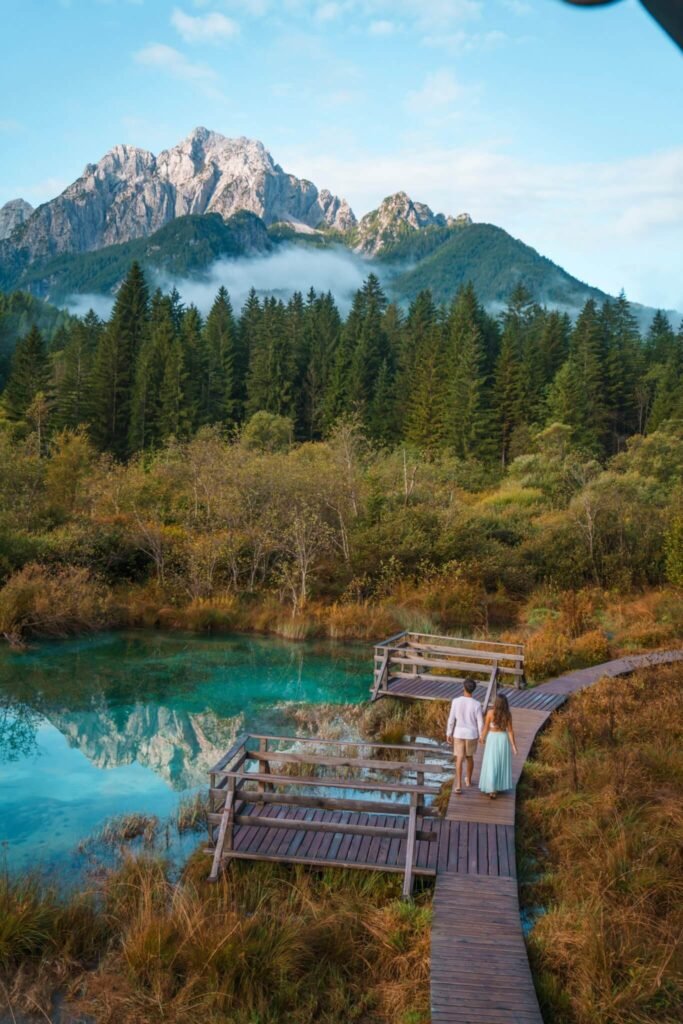 Zelencia Reserve in Slovenia