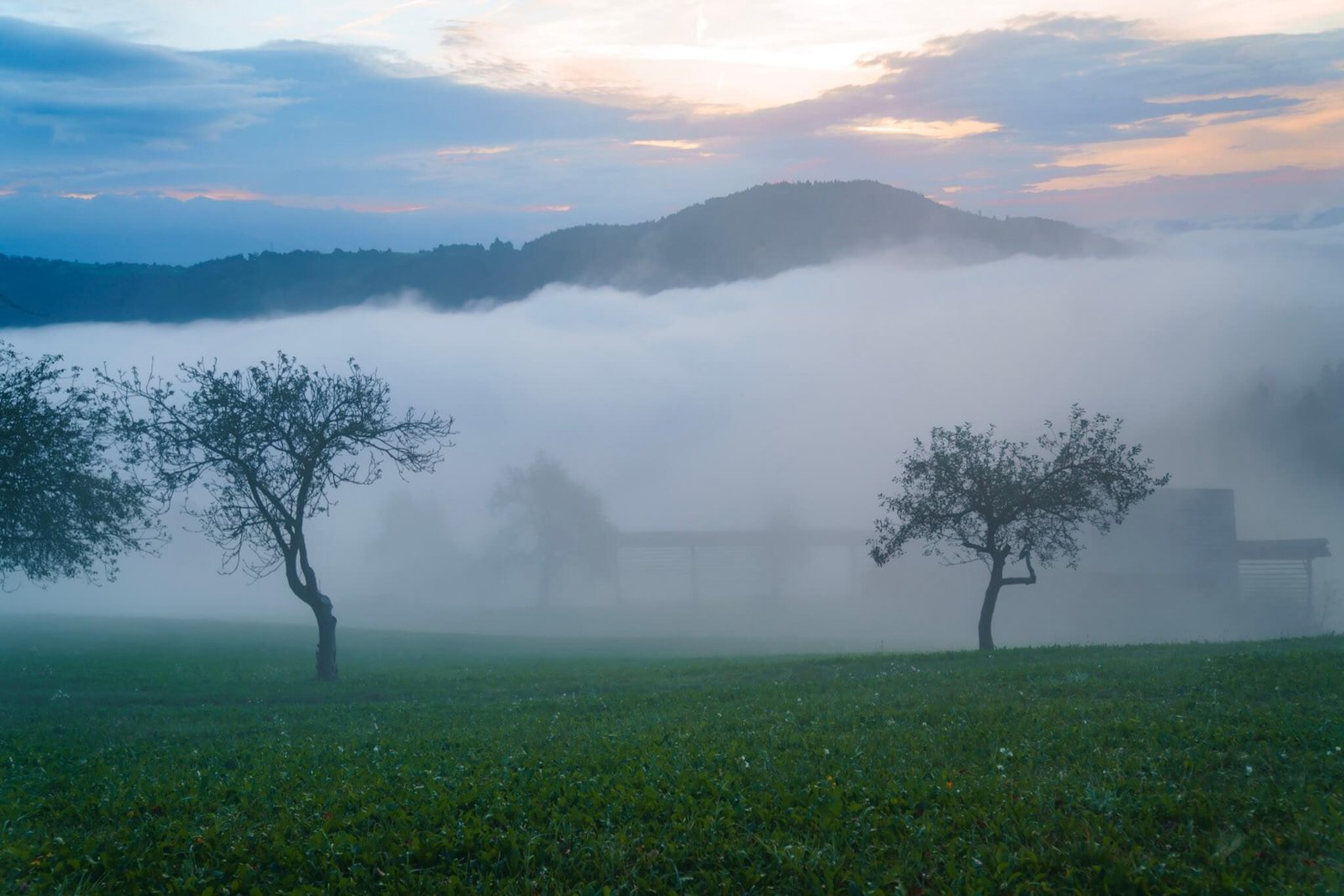eerie morning in Slovenia