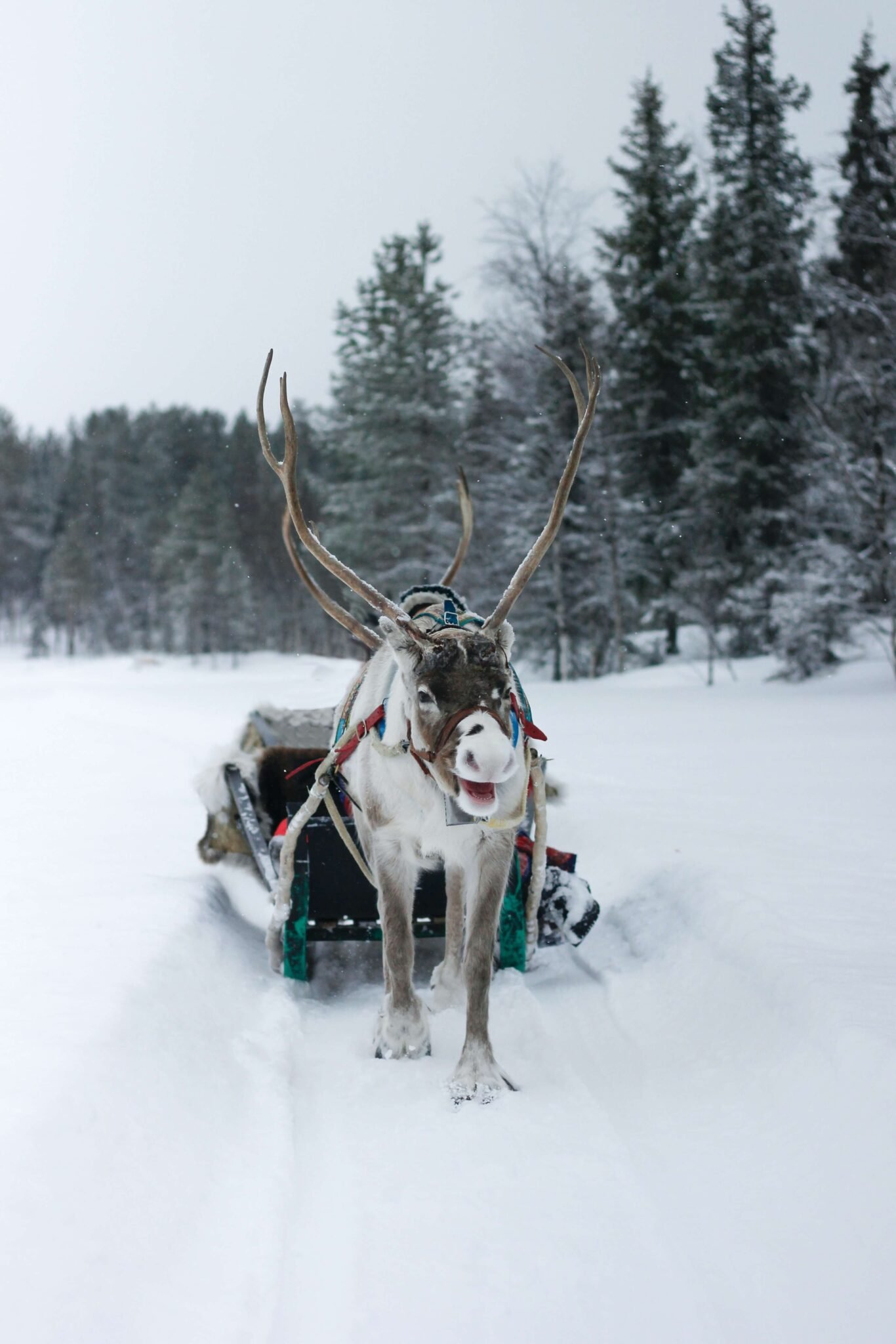 Finland, winter bucket list destinations