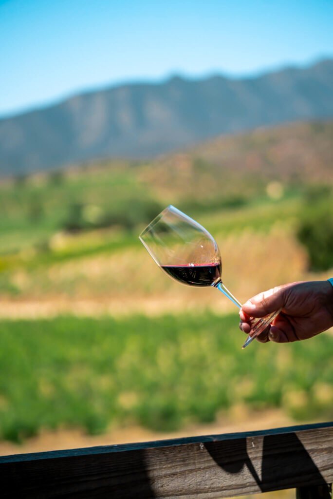 Malbec wine