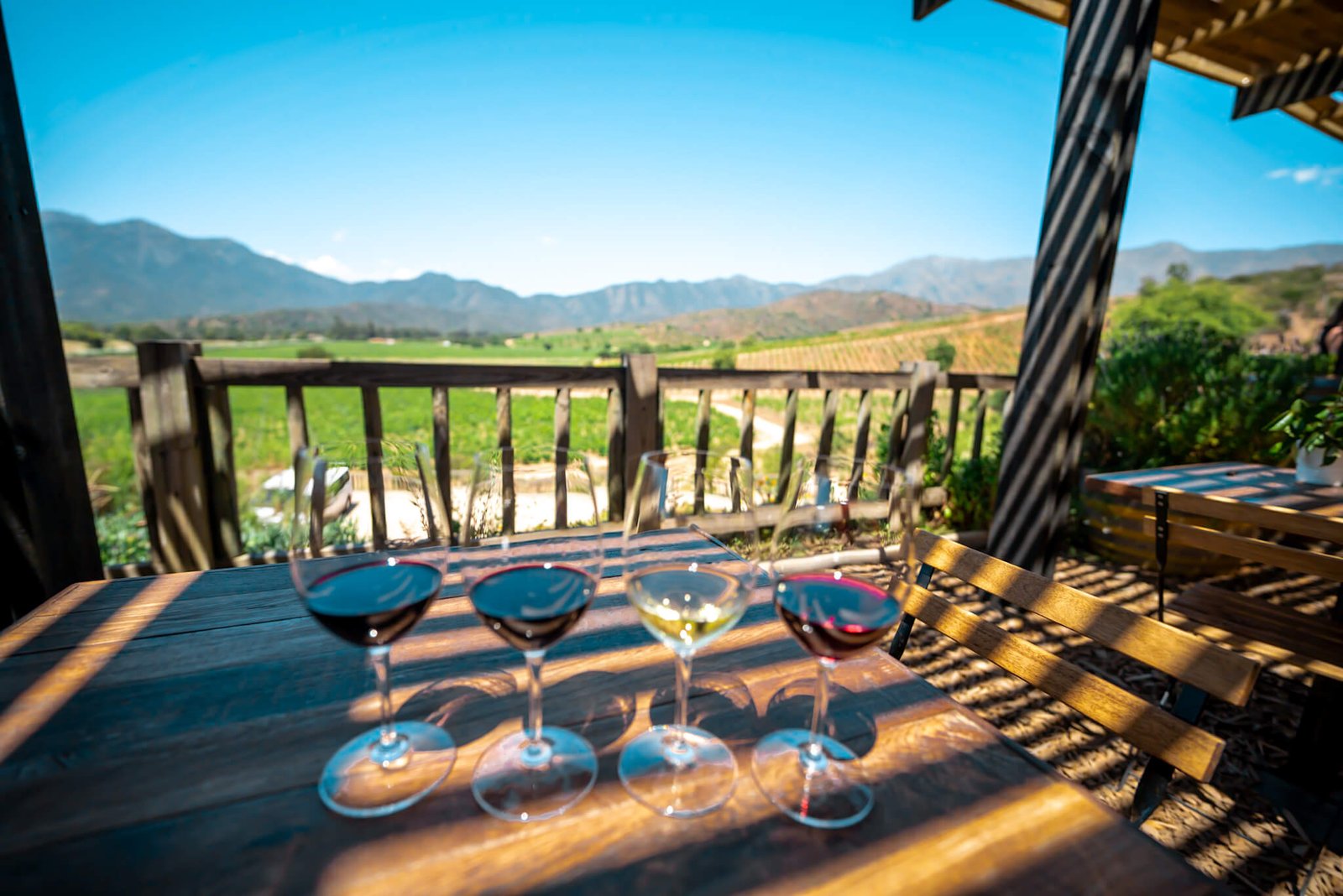 winery, things to do in Santiago, Chile