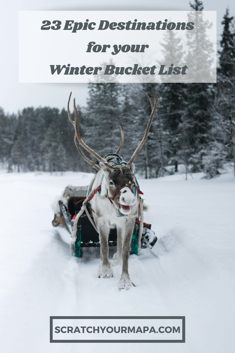winter bucket list pin