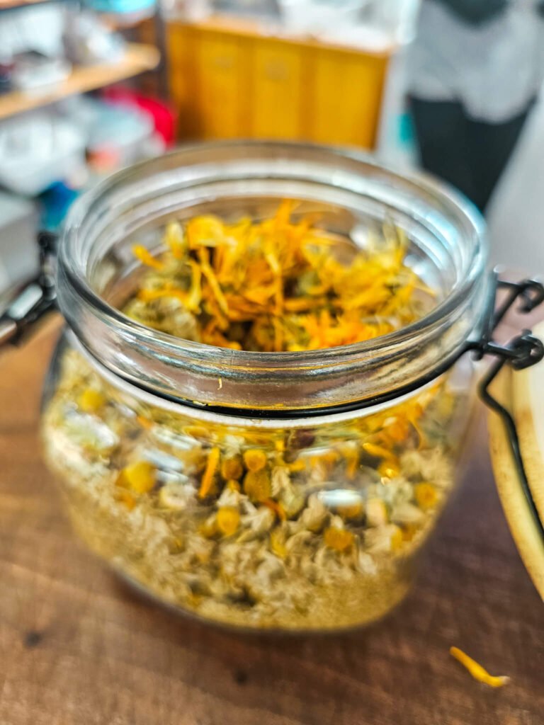 Mendoza tea