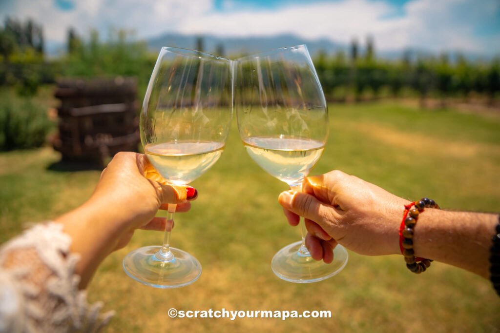 riccitelli winery in Mendoza