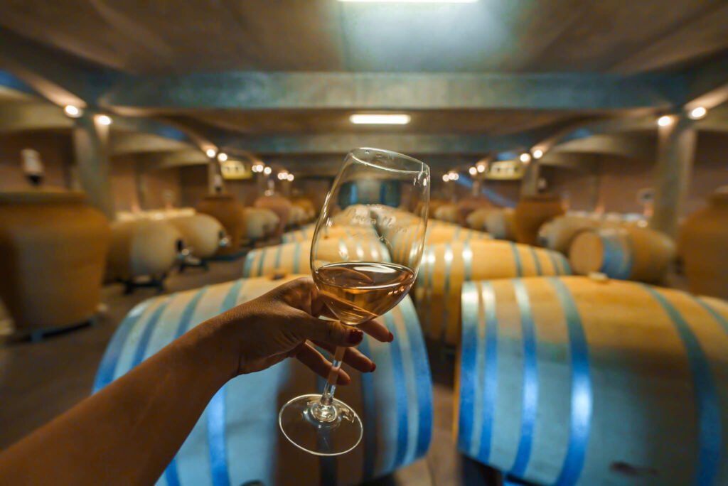 winery at Mendoza in Argentina