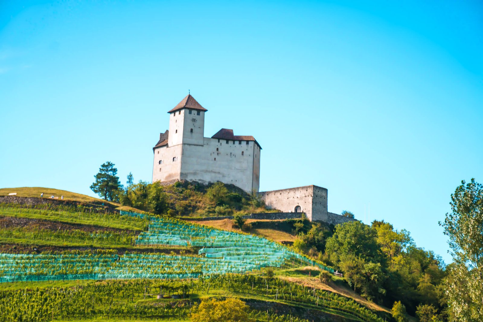 things to do while visiting Liechtenstein