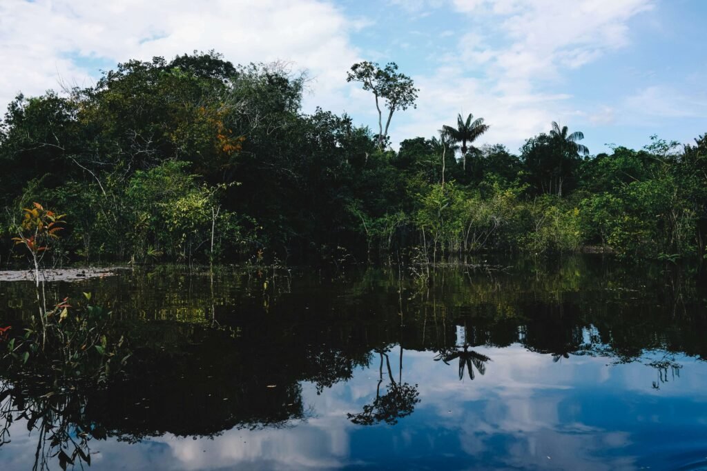Manaus, Brazil