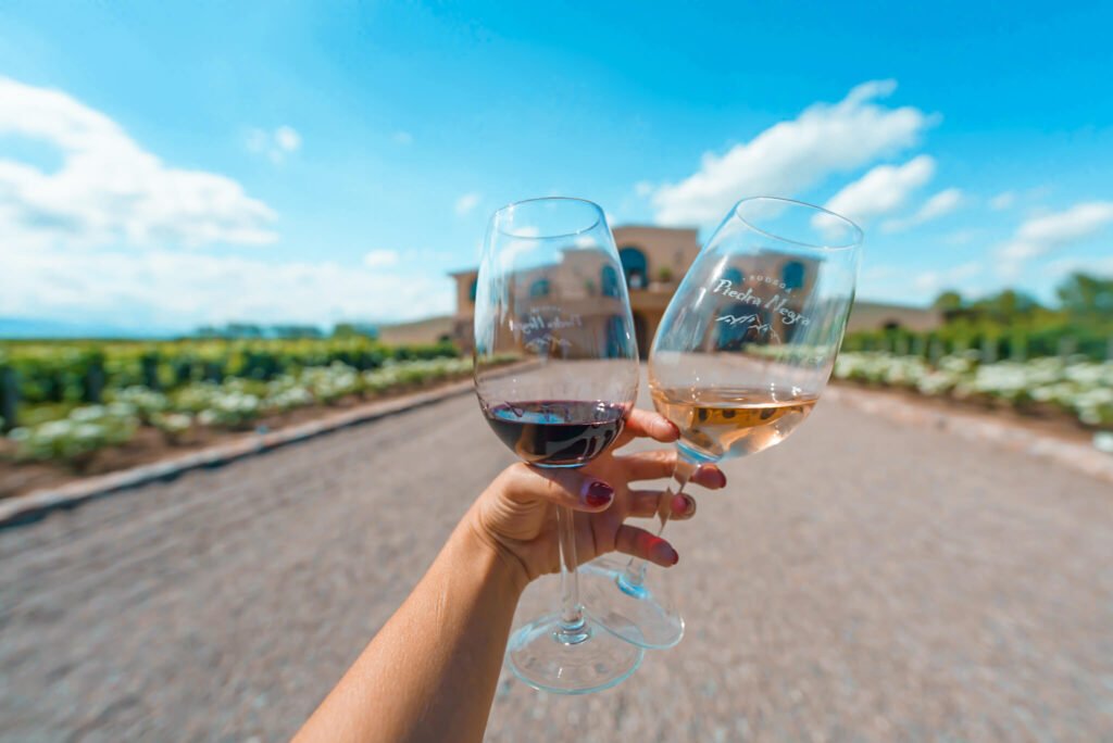 wine in Mendoza, Argentina