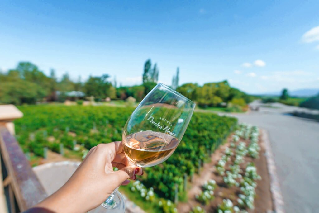 wine in Mendoza