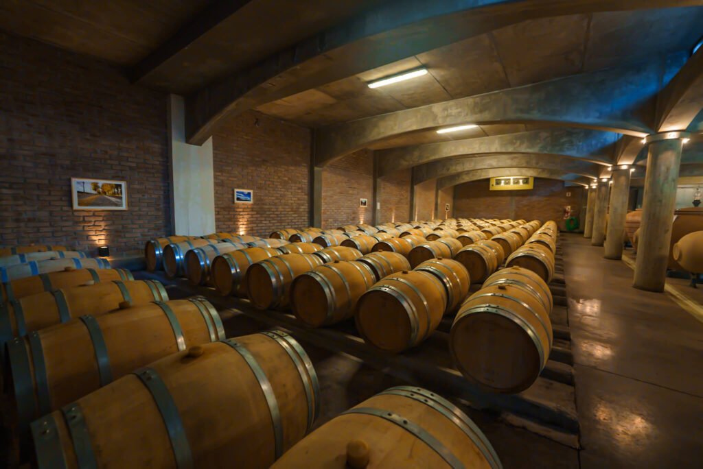 winery at Mendoza in Argentina
