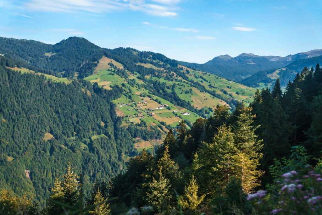 greenery in switzerland