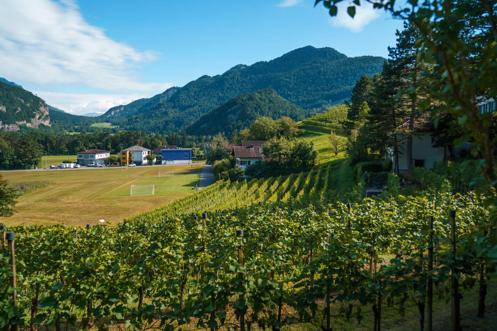 winery in Liechtenstein
