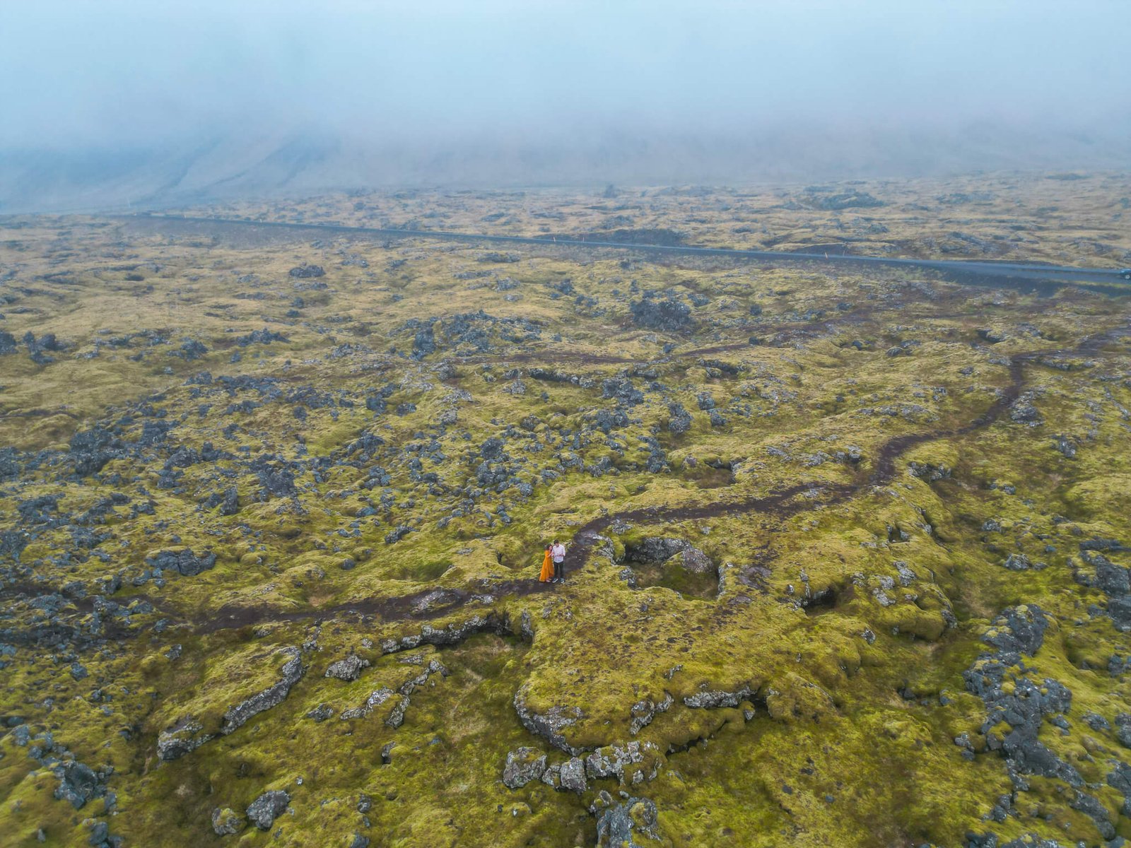 Lava field in Iceland