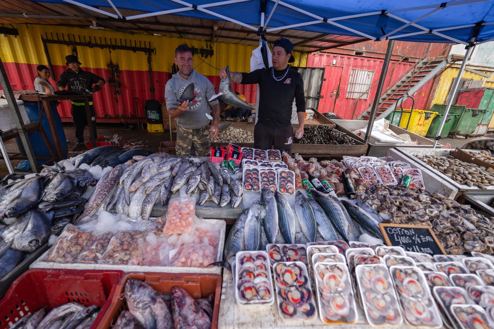 fish market, things to do in Valparaiso