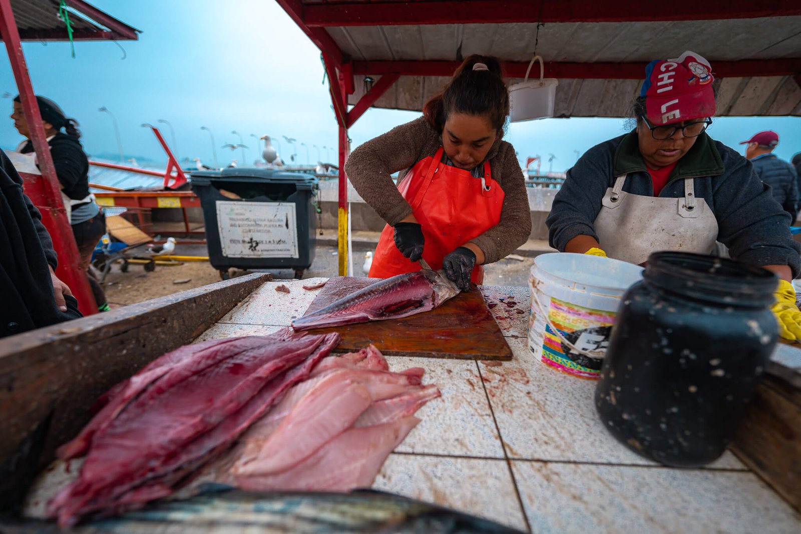 fish market, things to do in Valparaiso