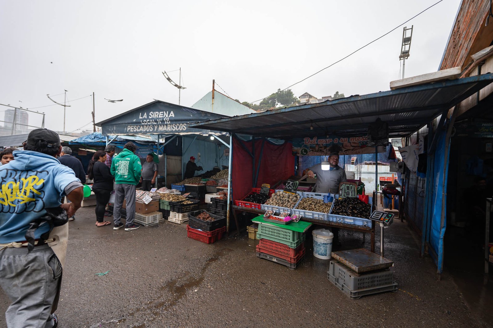 fish market, things to do in Valparaiso